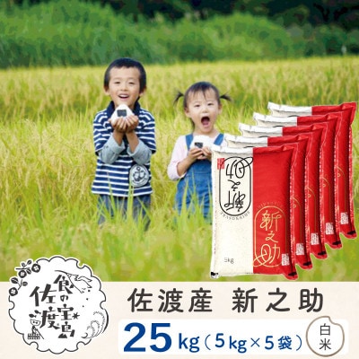 【令和6年産】佐渡島産新之助 白米25Kg(5kg×5袋)