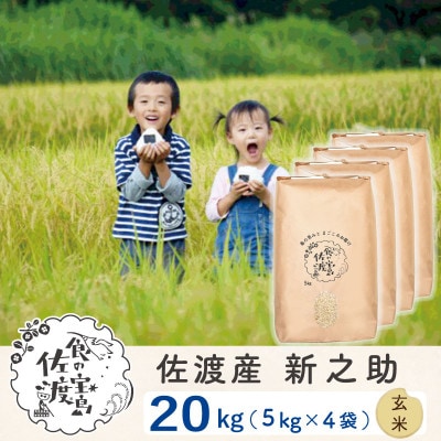 【令和6年産】佐渡島産新之助 玄米20kg(5kg×4袋)