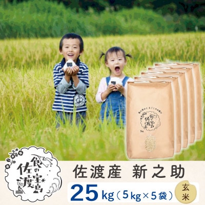 【令和6年産】佐渡島産新之助 玄米25kg(5kg×5袋)