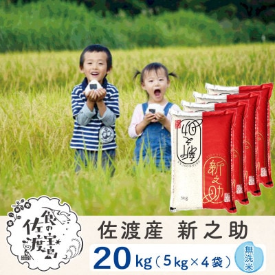 【令和6年産】佐渡島産新之助 精米(無洗米) 20kg(5kg×4袋)