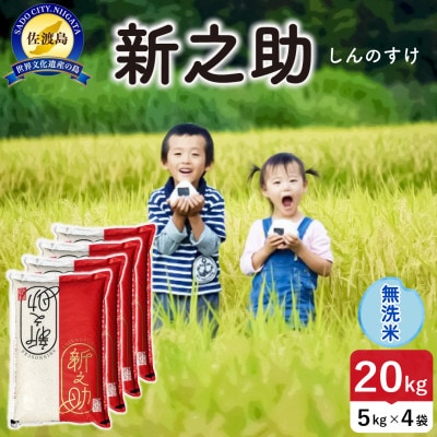【新米】令和8年産 佐渡島産新之助 無洗米20kg【食の宝島佐渡】