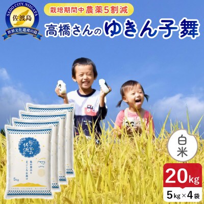 【新米】令和8年産 佐渡島産ゆきん子舞 白米20kg 栽培期間中農薬5割減 【食の宝島佐渡】