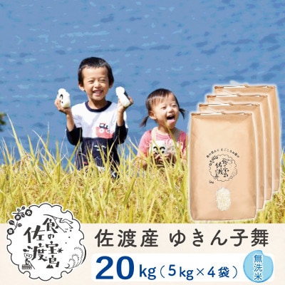 【令和6年産】佐渡島ゆきん子舞 無洗米20kg(5kg×4袋) ～農薬5割減～