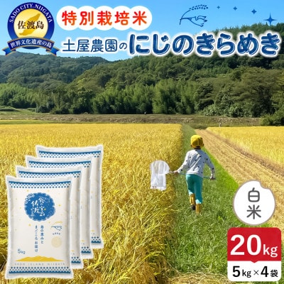 【新米】令和8年産 佐渡島産にじのきらめき 白米20kg 土屋農園 農家直送 特別栽培米