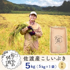 【令和5年産】佐渡島産こしいぶき 玄米5Kg ～農薬5割減～