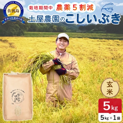 【新米】令和8年産 佐渡島産こしいぶき 玄米5kg 土屋農園 農家直送 栽培期間中農薬5割減