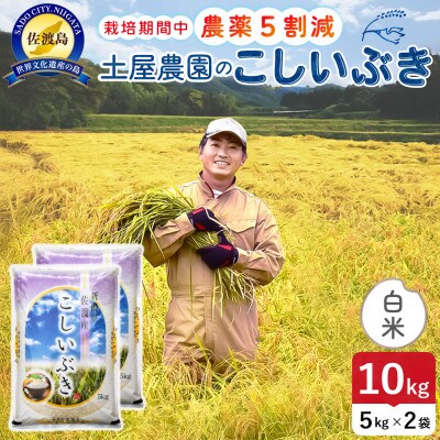 【新米】令和8年産 佐渡島産こしいぶき 白米10kg 土屋農園 農家直送 栽培期間中農薬5割減