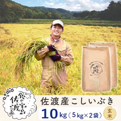 【令和5年産】佐渡島産こしいぶき 玄米10Kg (5Kg×2袋)～栽培期間中農薬5割減～