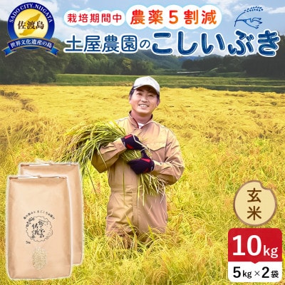 【新米】令和8年産 佐渡島産こしいぶき 玄米10kg 土屋農園 農家直送 栽培期間中農薬5割減