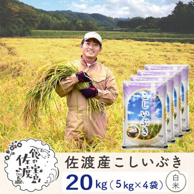 【令和5年産】佐渡島産こしいぶき 白米20Kg(5Kg×4袋) ～栽培期間中農薬5割減～