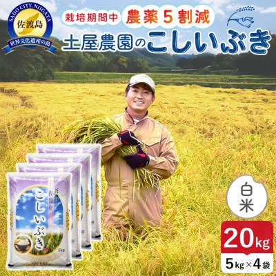 【新米】令和8年産 佐渡島産こしいぶき 白米20kg 土屋農園 農家直送 栽培期間中農薬5割減