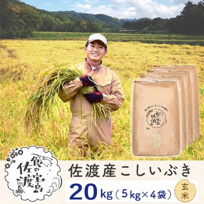 【令和5年産】佐渡島産こしいぶき 玄米20Kg(5Kg×4袋)
