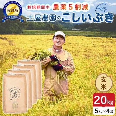 【新米】令和8年産 佐渡島産こしいぶき 玄米20kg 土屋農園 農家直送 栽培期間中農薬5割減