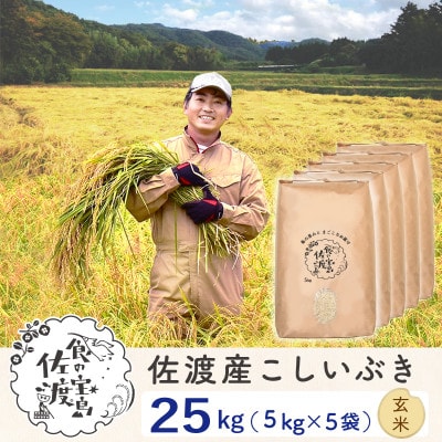 【令和5年産】佐渡島産こしいぶき 玄米25Kg(5Kg×5袋)