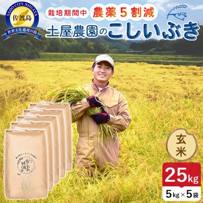 【新米】令和8年産 佐渡島産こしいぶき 玄米25kg 土屋農園 農家直送 栽培期間中農薬5割減