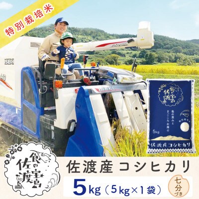 【令和5年産】佐渡島産 コシヒカリ 七分づき 5kg 特別栽培米