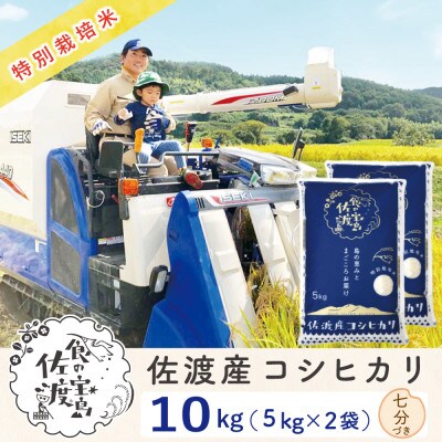 【令和5年産】佐渡島産 コシヒカリ 七分づき 10kg(5kg×2袋) 特別栽培米