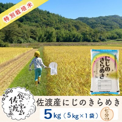 【令和5年産】佐渡島産 にじのきらめき 七分づき 5kg 特別栽培米