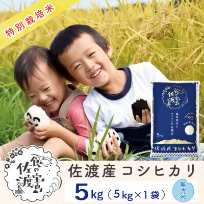 【令和6年産】佐渡島産コシヒカリ 無洗米5kg 特別栽培米(栽培期間中 農薬・化学肥料5割減)