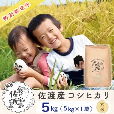 【令和6年産】佐渡島産コシヒカリ 玄米5kg 特別栽培米(栽培期間中 農薬・化学肥料5割減)