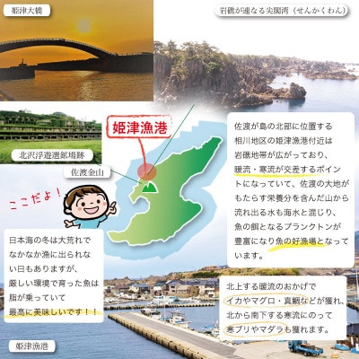 佐渡島産いかの三五八漬け(糀漬け)3パックセット 簡単調理 家庭で味わう本格漁師町の味