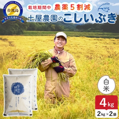 【新米】令和8年産 佐渡島産こしいぶき 白米4kg 土屋農園 農家直送 栽培期間中農薬5割減