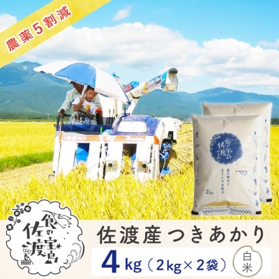 【新米予約】佐渡島産つきあかり 白米4Kg(2Kg×2袋) 令和7年 ～栽培期間中農薬5割減～