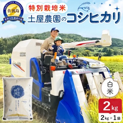 【新米】令和8年産 佐渡島産コシヒカリ 白米2kg 土屋農園 農家直送 特別栽培米