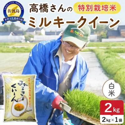 【新米】令和8年産 佐渡島産ミルキークイーン 白米2kg 特別栽培米【食の宝島佐渡】