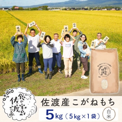 佐渡島産こがねもち もち精米5Kg(5Kg×1袋)【令和7年産】