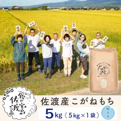 佐渡島産こがねもち 無洗米5Kg(5Kg×1袋)【令和7年産】
