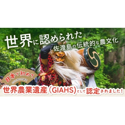 佐渡島産コシヒカリ 片野尾棚田米 白米4kg(2kg×2袋)【令和7年産】