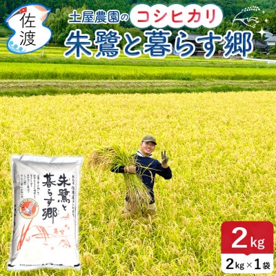 佐渡島産コシヒカリ「朱鷺と暮らす郷」精米2kg(2kg×1袋) 令和7年産 特別栽培米 土屋農園