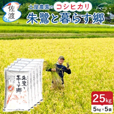 佐渡島産コシヒカリ「朱鷺と暮らす郷」無洗米25kg(5kg×5袋) 令和7年産 特別栽培米 土屋農園