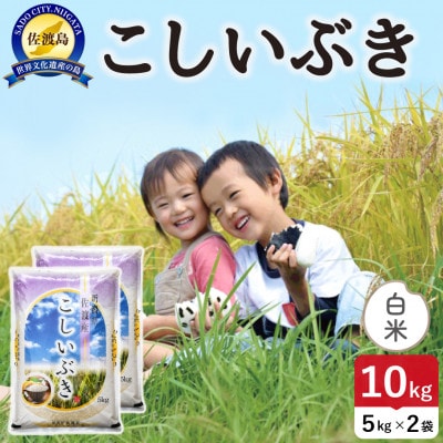 【新米】令和8年産 佐渡島産こしいぶき 白米10kg【食の宝島佐渡】