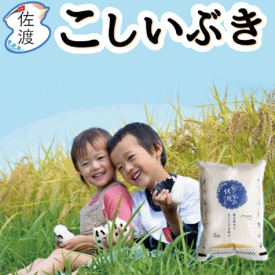 佐渡島産こしいぶき 無洗米2Kg(2Kg×1袋) 令和7年産【食の宝島佐渡】