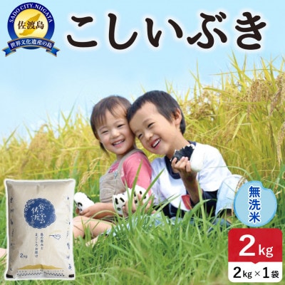 【新米】令和8年産 佐渡島産こしいぶき 無洗米2kg【食の宝島佐渡】