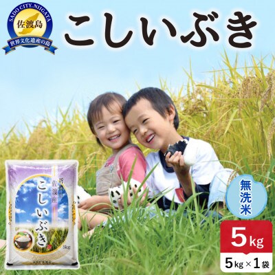 【新米】令和8年産 佐渡島産こしいぶき 無洗米5kg【食の宝島佐渡】