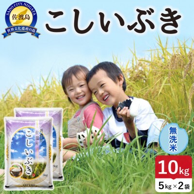 【新米】令和8年産 佐渡島産こしいぶき 無洗米10kg【食の宝島佐渡】