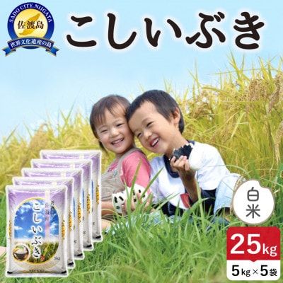 【新米】令和8年産 佐渡島産こしいぶき 白米25kg【食の宝島佐渡】