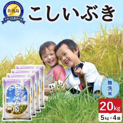 【新米】令和8年産 佐渡島産こしいぶき 無洗米20kg【食の宝島佐渡】