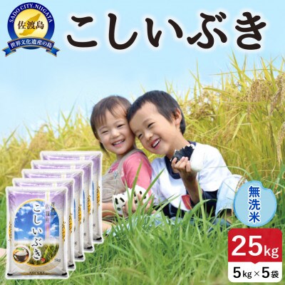 【新米】令和8年産 佐渡島産こしいぶき 無洗米25kg【食の宝島佐渡】