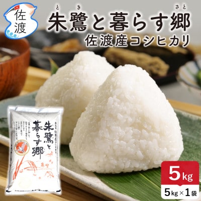 佐渡島産コシヒカリ「朱鷺と暮らす郷」白米5kg(5kg×1袋) 令和7年産 特別栽培米
