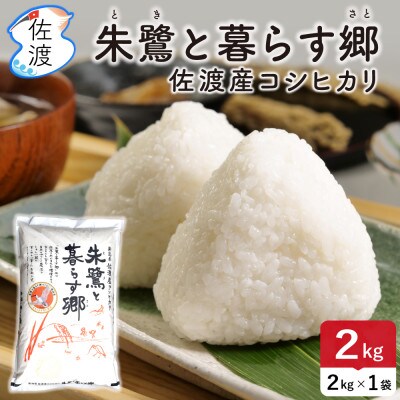 佐渡島産コシヒカリ「朱鷺と暮らす郷」白米2kg(2kg×1袋) 令和7年産 特別栽培米