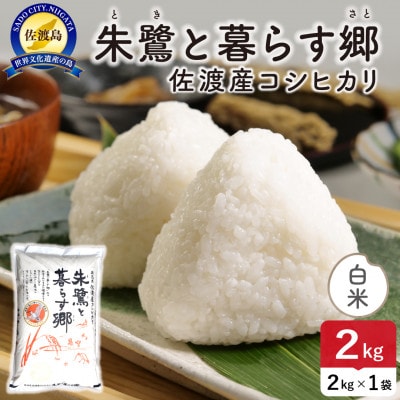 【新米】令和8年産 佐渡島産 朱鷺と暮らす郷(コシヒカリ) 白米2kg 特別栽培米【食の宝島佐渡】