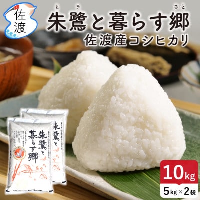 佐渡島産コシヒカリ「朱鷺と暮らす郷」白米10kg(5kg×2袋) 令和7年産 特別栽培米
