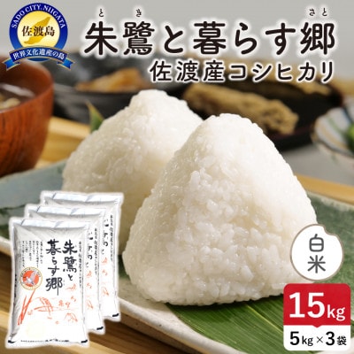 【新米】令和8年産 佐渡島産 朱鷺と暮らす郷(コシヒカリ) 白米15kg 特別栽培米【食の宝島佐渡】