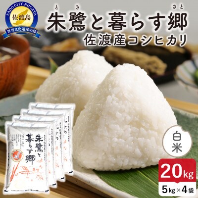 【新米】令和8年産 佐渡島産 朱鷺と暮らす郷(コシヒカリ) 白米20kg 特別栽培米【食の宝島佐渡】