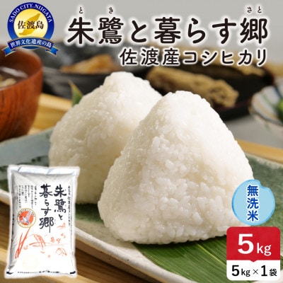【新米】令和8年産 佐渡島産 朱鷺と暮らす郷(コシヒカリ) 無洗米5kg 特別栽培米【食の宝島佐渡】
