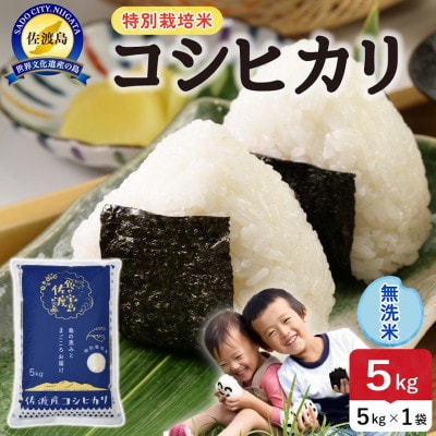 【新米】令和8年産 佐渡島産コシヒカリ 無洗米5kg 特別栽培米【食の宝島佐渡】